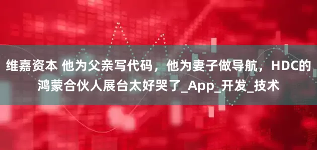 维嘉资本 他为父亲写代码，他为妻子做导航，HDC的鸿蒙合伙人展台太好哭了_App_开发_技术