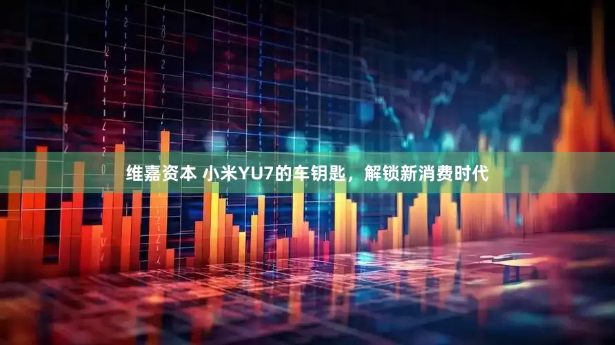 维嘉资本 小米YU7的车钥匙，解锁新消费时代