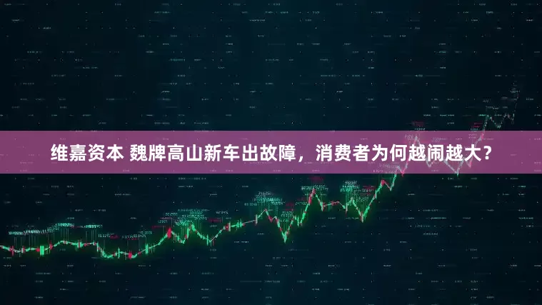 维嘉资本 魏牌高山新车出故障，消费者为何越闹越大？