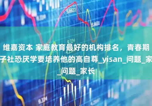 维嘉资本 家庭教育最好的机构排名，青春期孩子社恐厌学要培养他的高自尊_yisan_问题_家长