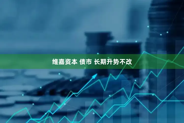 维嘉资本 债市 长期升势不改