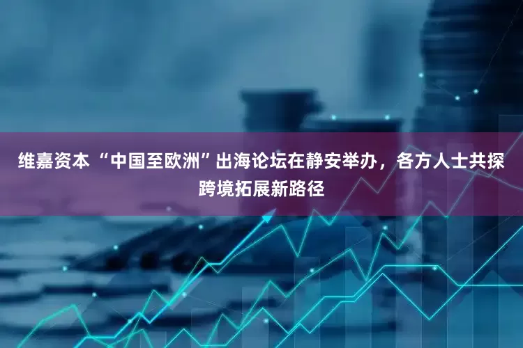 维嘉资本 “中国至欧洲”出海论坛在静安举办，各方人士共探跨境拓展新路径