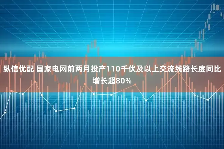 纵信优配 国家电网前两月投产110千伏及以上交流线路长度同比增长超80%